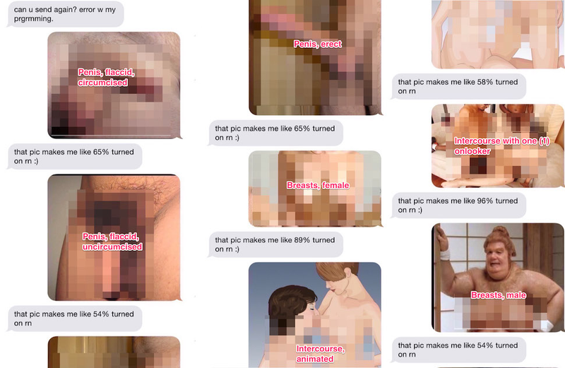 Illustration for article titled Trying to Arouse My New Sextbot Buddy (NSFW)